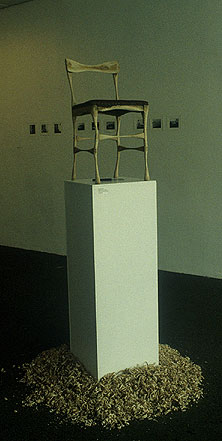 installation view