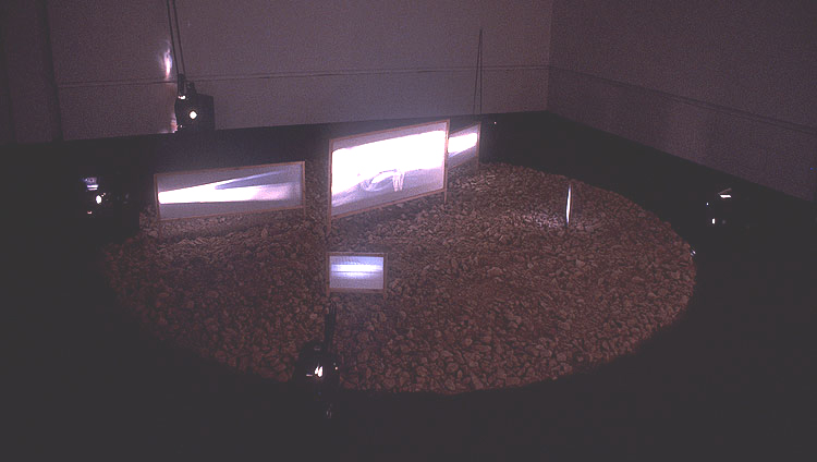 installation view