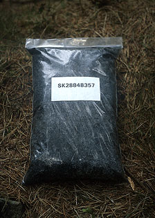 SK28848357 earth bag