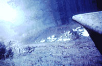video still